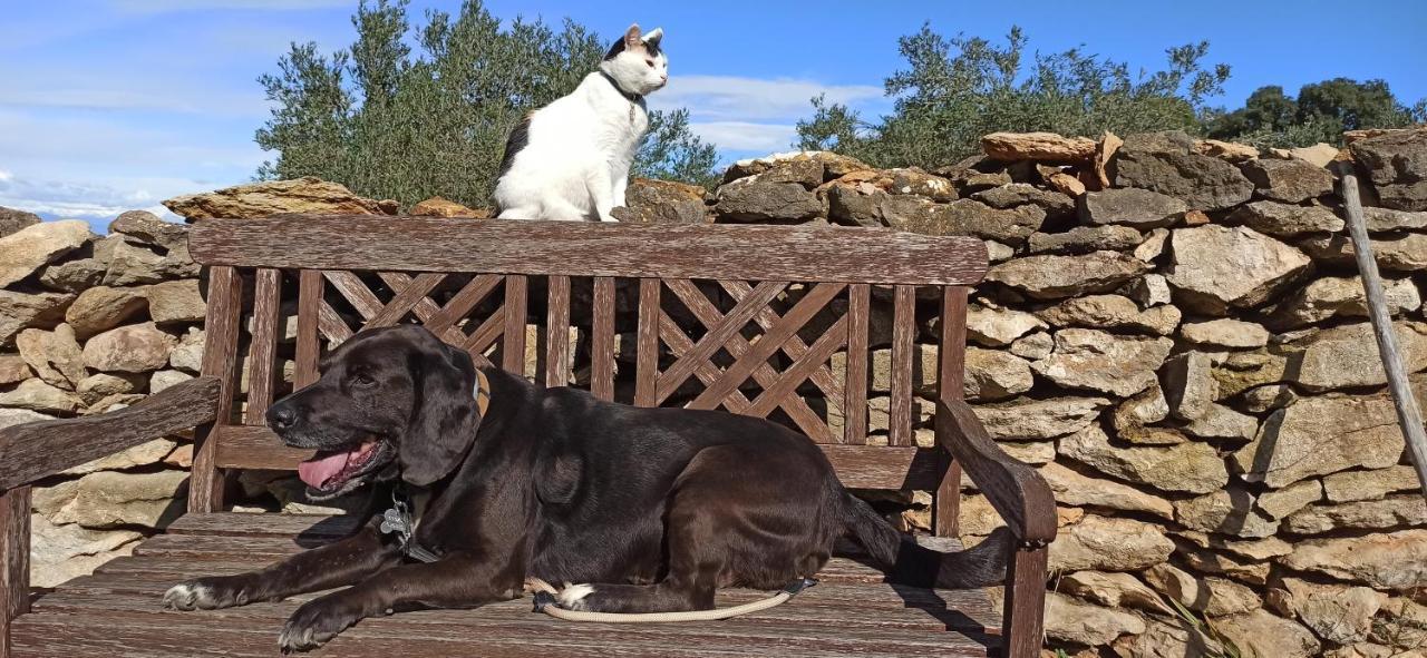 Can Costals Terraza Pals Bagian luar foto