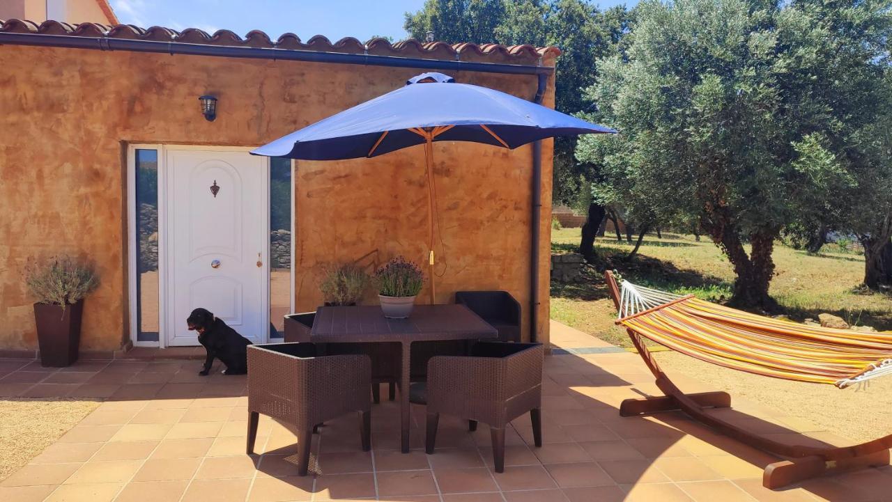 Can Costals Terraza Pals Bagian luar foto